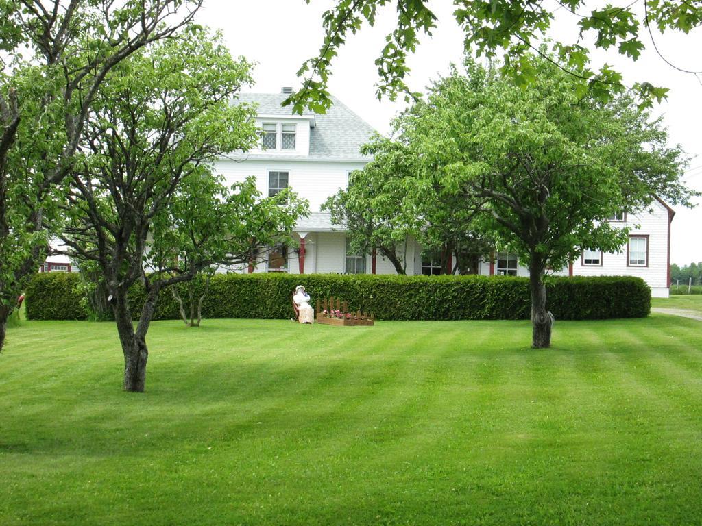 Gite Les Acres Tranquilles B&B Port-Daniel Exteriér fotografie