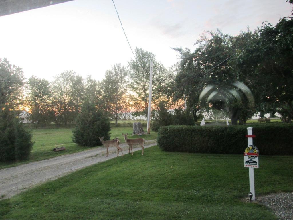 Gite Les Acres Tranquilles B&B Port-Daniel Exteriér fotografie